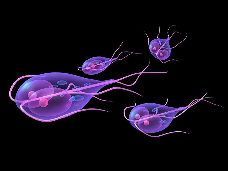 Giardia tina awak manusa