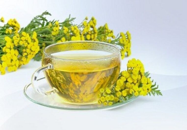 Infusion Tansy bakal ngabantosan ngaleungitkeun parasit dina awak